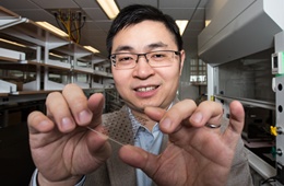 UH Researcher Developing Smart Artificial Skin Inspired by Underwater Masters of Camouflage