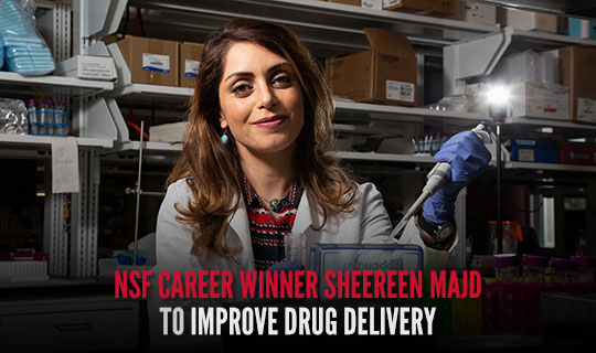 NSF CAREER Winner Sheereen Majd to Improve Drug Delivery