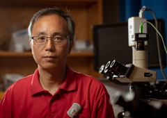 UH ECE Professor Jiming Bao Elected Fellow of American Physical Society