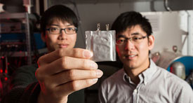 Lean Electrolyte Design Is A Game-Changer for Magnesium Batteries