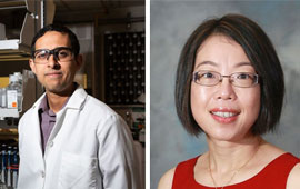 UH engineering professor Navin Varadarajan and pharmaceutics professor Xinli Liu