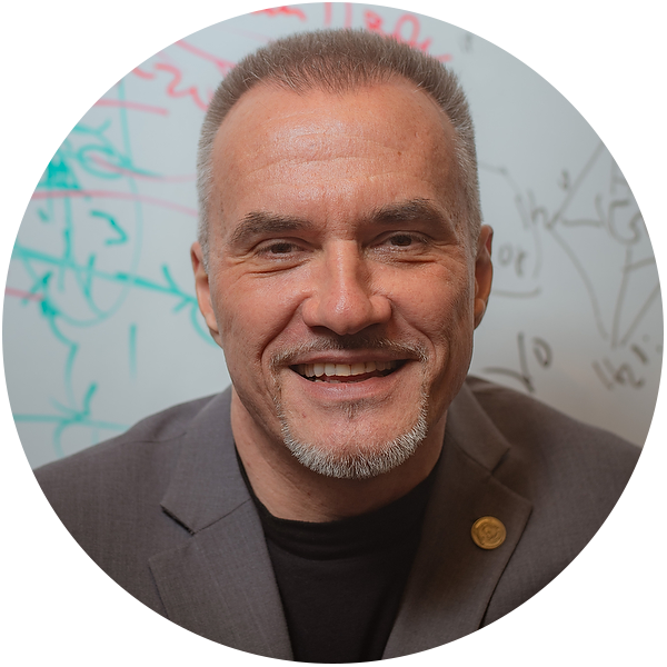 Dr. Stanko R. Brankovic's catalyst synthesis model