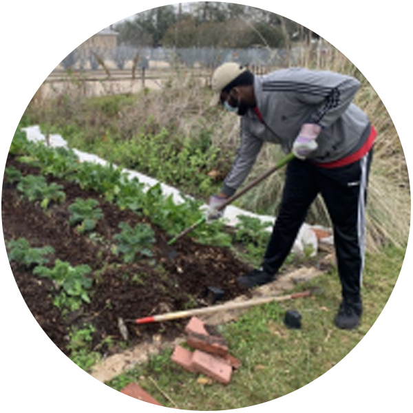 UH student working in garden