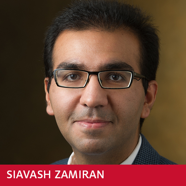 Siavash Zamiran